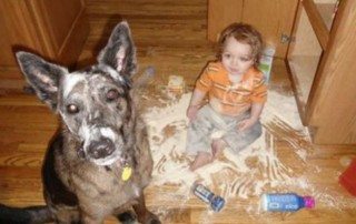 Disheveled child and dog surrounded by spilled flour on kitchen floor, mess highlighting playful chaos.