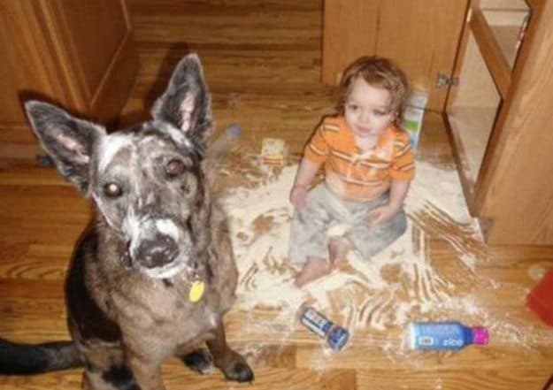 Disheveled child and dog surrounded by spilled flour on kitchen floor, mess highlighting playful chaos.