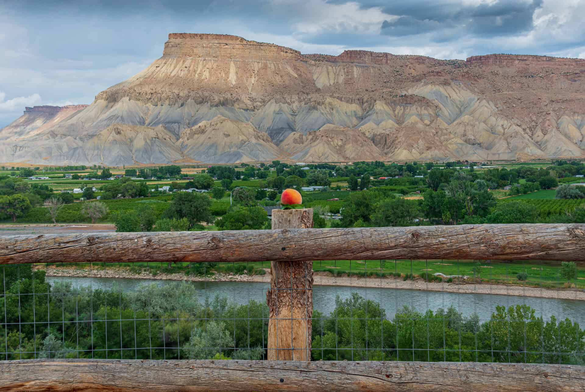 festival palisade colorado