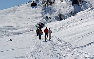 family sledding colorado mountains