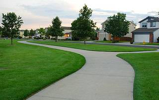 Tree-lined suburban neighborhood with curved sidewalk and well-kept homes in Western Colorado