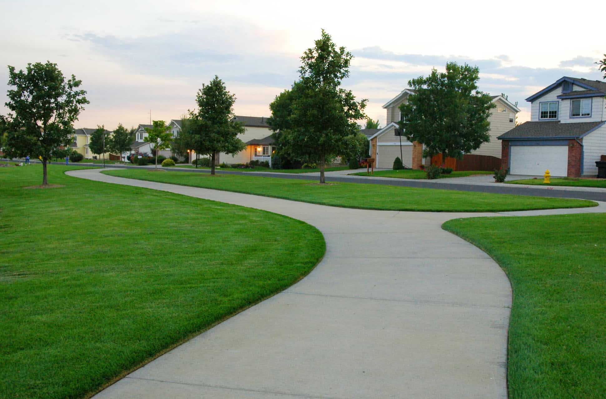 Tree-lined suburban neighborhood with curved sidewalk and well-kept homes in Western Colorado