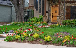 Colorful spring tulips framing the front yard of a stone home with strong curb appeal on Colorado's Western Slope